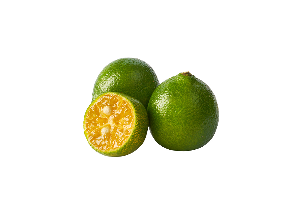 1706061193127696.jpg 17.jpg